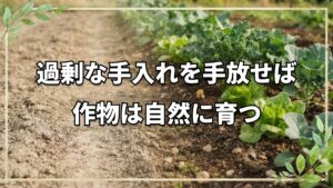 自然栽培の疑問解決!手入れと管理の基本
