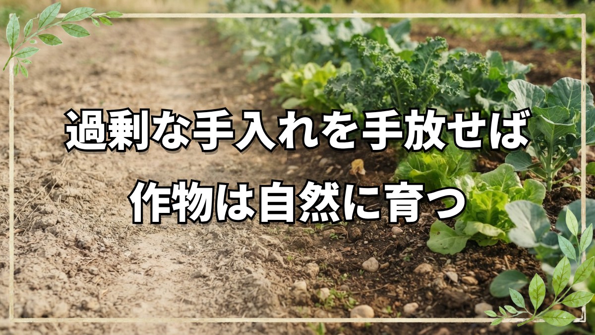 自然栽培の疑問解決！手入れと管理の基本
