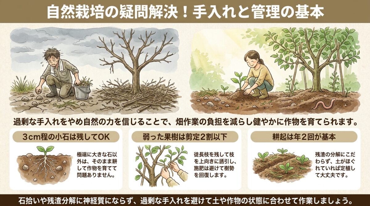 自然栽培の疑問解決!手入れと管理の基本