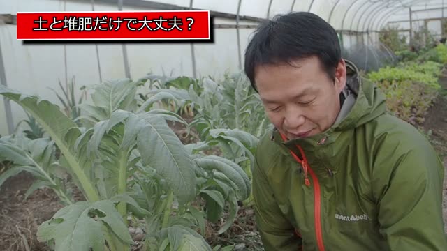 鉢植えから始める自然栽培と土の扱い