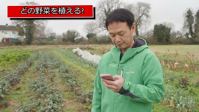 新しい畑で最初に植えるおすすめの野菜