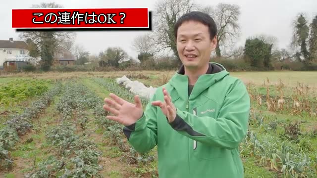 自然栽培における連作の考え方