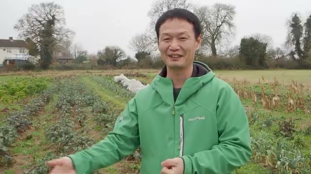 有機質肥料や米ぬかを使わない理由