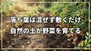 自然栽培の連作と落ち葉マルチ・トマト管理