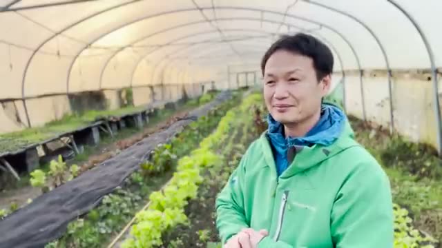 怒りの感情が引き起こした稲の異変
