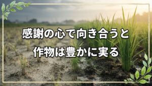 野菜と人の心はつながっている。自然栽培農家が語る原点と体験