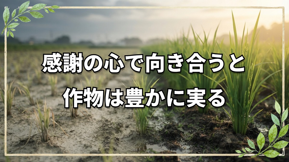 野菜と人の心はつながっている。自然栽培農家が語る原点と体験