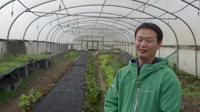 食べる人の体を整える、作物が持つ力の実例