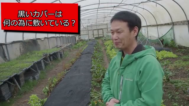 ハウスの土を黒いシートで保護する理由