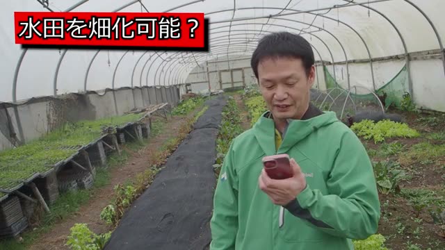 水田を畑に変えて野菜を育てるポイント