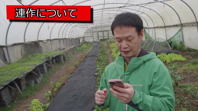 芋類の連作と種芋の残し方