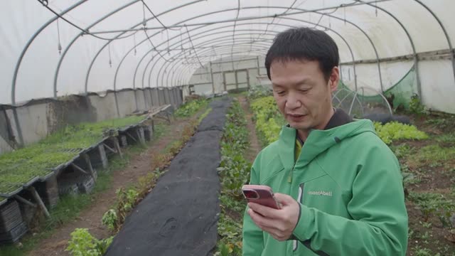 同じ畝で野菜の育ち方に差が出る理由